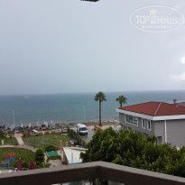 фото из отзыва ID 1867137