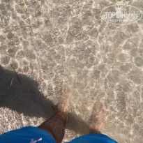 фото из отзыва ID 1867155