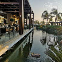 фото из отзыва ID 1867155