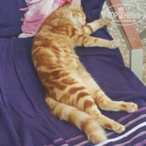 фото из отзыва ID 1867344