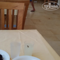 фото из отзыва ID 1867015