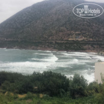 фото из отзыва ID 1867437