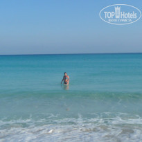 фото из отзыва ID 1867541