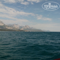 фото из отзыва ID 1867733