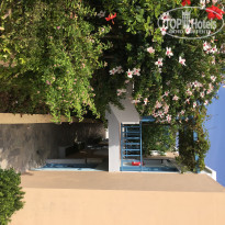 фото из отзыва ID 1867739