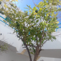 фото из отзыва ID 1867821