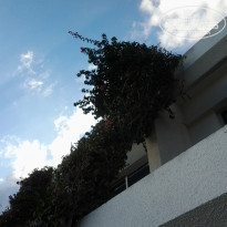 фото из отзыва ID 1867866