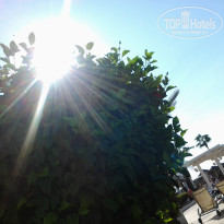 фото из отзыва ID 1867866