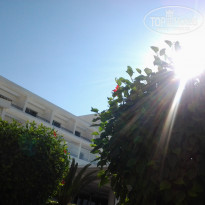 фото из отзыва ID 1867866