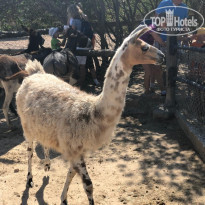 фото из отзыва ID 1867871