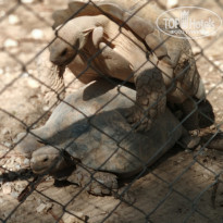 фото из отзыва ID 1867871