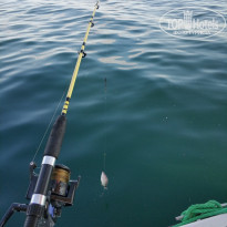 фото из отзыва ID 1867871