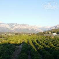 фото из отзыва ID 1867878