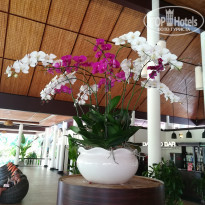 фото из отзыва ID 1867646