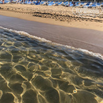 фото из отзыва ID 1867963