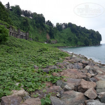 фото из отзыва ID 1867983