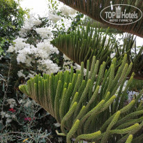 фото из отзыва ID 1866658