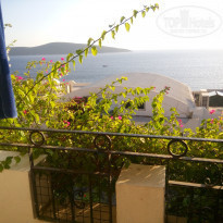 фото из отзыва ID 1868050