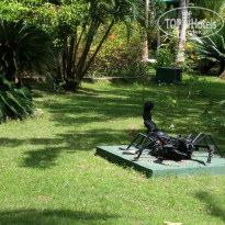 фото из отзыва ID 1868095