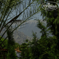 фото из отзыва ID 1868215