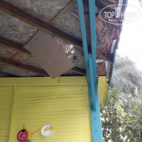 фото из отзыва ID 1865327