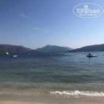 фото из отзыва ID 1868247