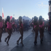 фото из отзыва ID 1868266