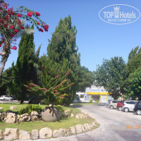 фото из отзыва ID 1868324