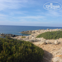 фото из отзыва ID 1868324