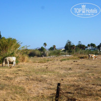 фото из отзыва ID 1868413