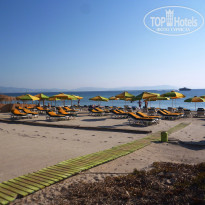 фото из отзыва ID 1868413