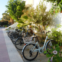 фото из отзыва ID 1868413