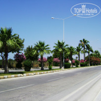 фото из отзыва ID 1868513