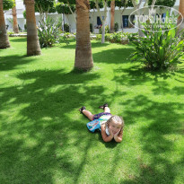 фото из отзыва ID 1867839