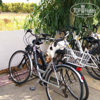 фото из отзыва ID 1867018