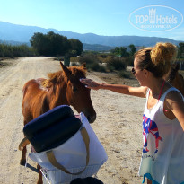 фото из отзыва ID 1867018