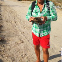 фото из отзыва ID 1867018