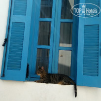 фото из отзыва ID 1867018