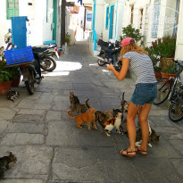 фото из отзыва ID 1867018