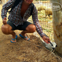 фото из отзыва ID 1867018