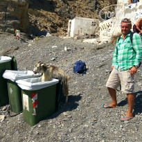 фото из отзыва ID 1867018