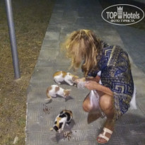 фото из отзыва ID 1867018