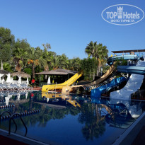 фото из отзыва ID 1868683