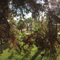 фото из отзыва ID 1868774