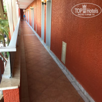 фото из отзыва ID 1868774