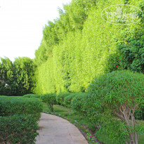 фото из отзыва ID 1868815