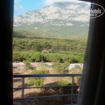 фото из отзыва ID 1869019