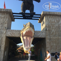 фото из отзыва ID 1869167