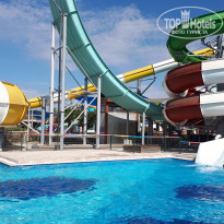 фото из отзыва ID 1869202