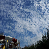 фото из отзыва ID 1869202